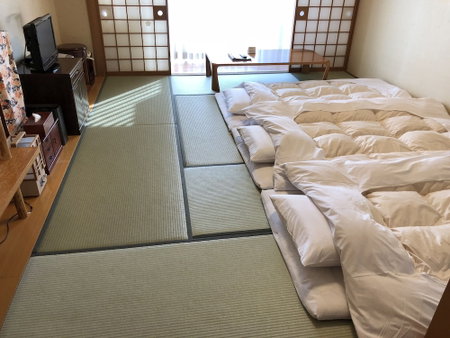 Hotel New Sunpia Tsuruga, Tsuruga, Japan