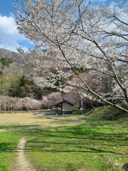 Hakuba Ikeda Life Kan Apartments, Hakuba, Japan