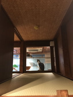 neco yokujo & neco hatago Neco Requblic - Hostel, Osaka, Japan