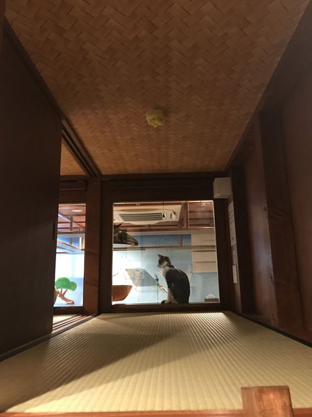 neco yokujo & neco hatago Neco Requblic - Hostel, Osaka, Japan