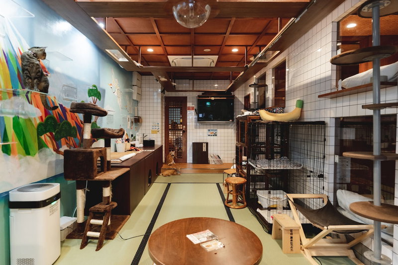 neco yokujo & neco hatago Neco Requblic - Hostel, Osaka, Japan