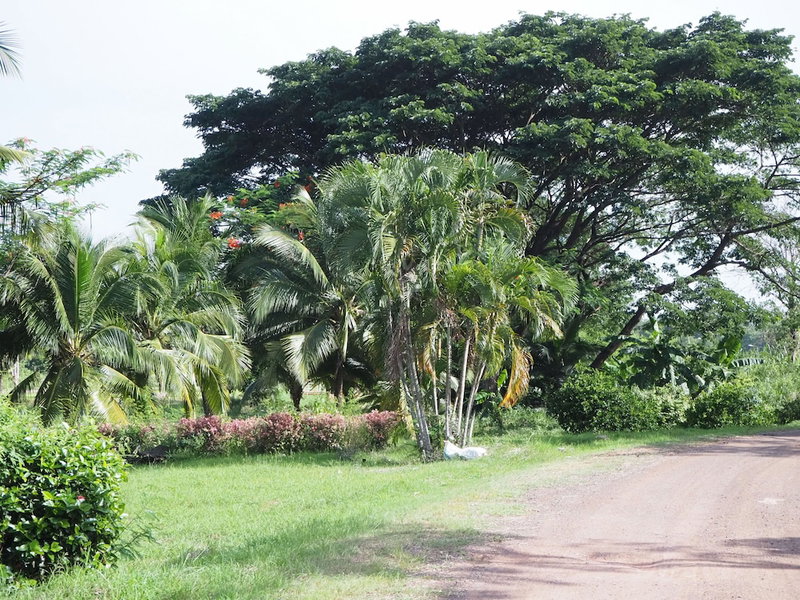 Goldenland Resort, Chok Chai, Thailand