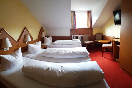 Meister BÄR HOTEL Frankenwald, Berg, Germany