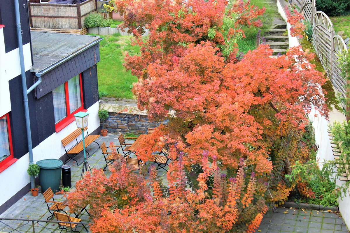 Hotel Simonis Koblenz, Germany