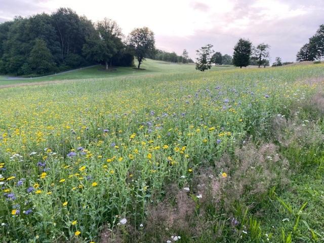 Hotel Weiherhof am Golfpark, Wadern, Germany
