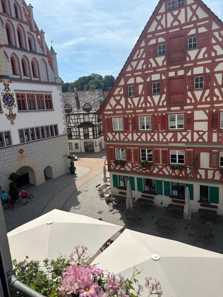 Hotel Restaurant Grüner Baum und Altes Tor, Bad Waldsee, Germany