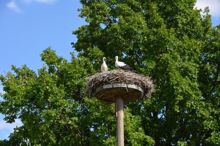 Ferienappartements "Landromantik", Bautzen, Germany