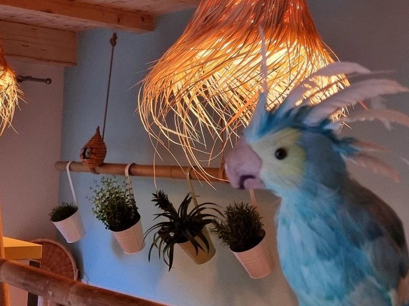 Ferienappartements "Landromantik", Bautzen, Germany