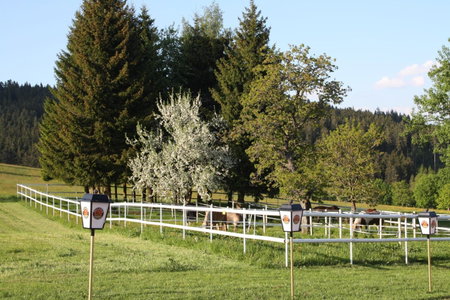 Landhotel Bartlehof, Schluchsee, Germany