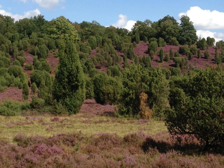 Neumanns Waldschänke, Soltau, Germany