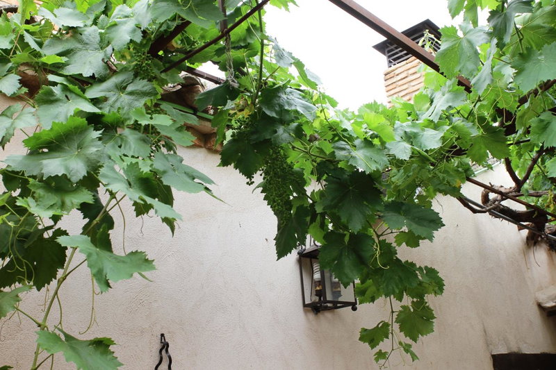 Apartametos rurales la Higuera de José, Layos, Spain
