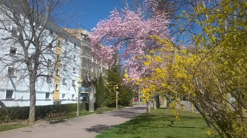 Apartamento Isabel, Cuenca, Spain