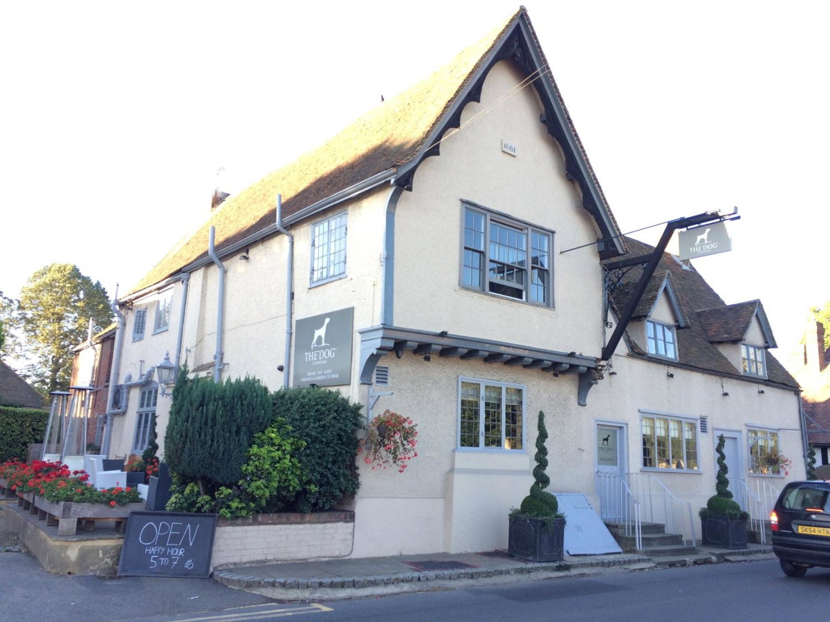 Hotel · The Dog At Wingham, Wingham