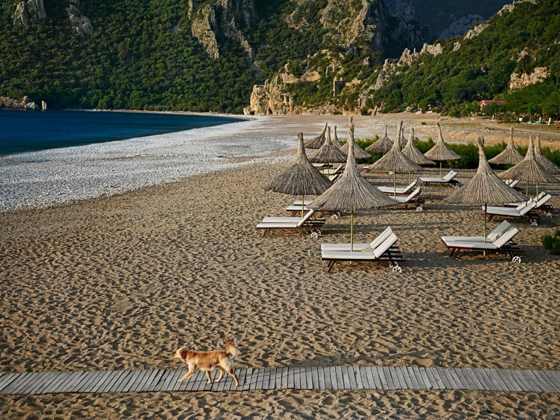 Olympos Lodge, Cıralı, Turkey