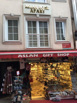 Aslan Home Apart, Istanbul, Turkey