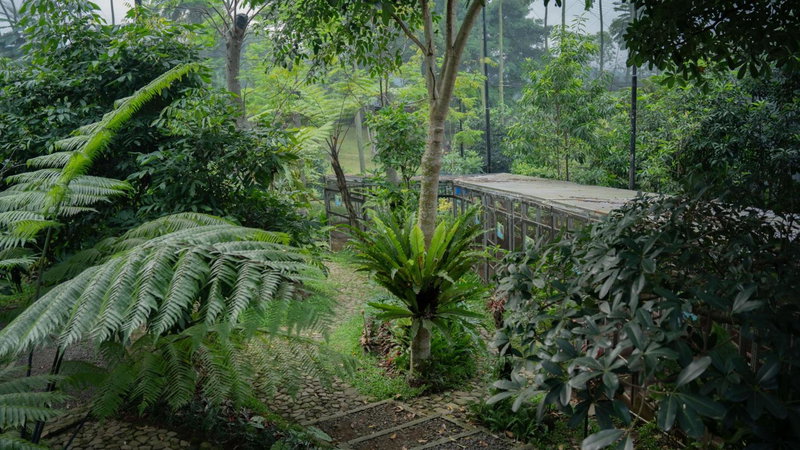 Leuweung Geledegan Ecoldge, Kiarapayung 2, Indonesia