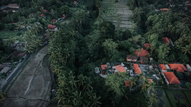 Taman Indra Boutique Villa Ubud, Ubud, Indonesia
