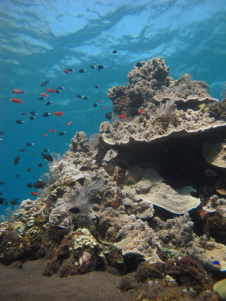 ABWonderdive Beach Resort, Kubu, Indonesia