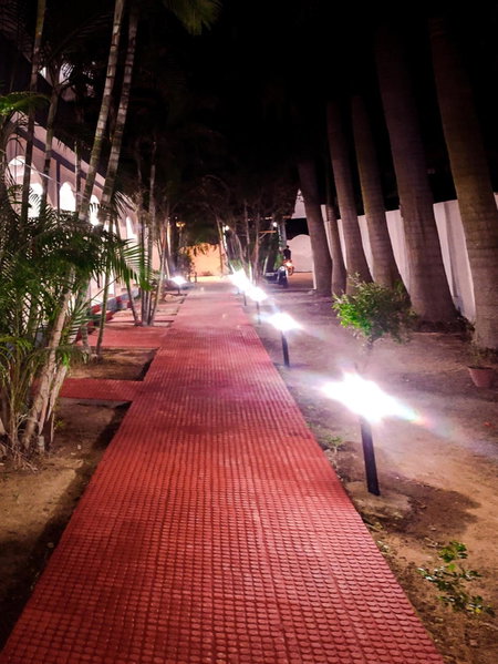 Hotel Jungle Palace Resort, Umariā, India