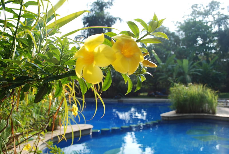 Hotel Laguna Anjuna, Goa, Anjuna, India