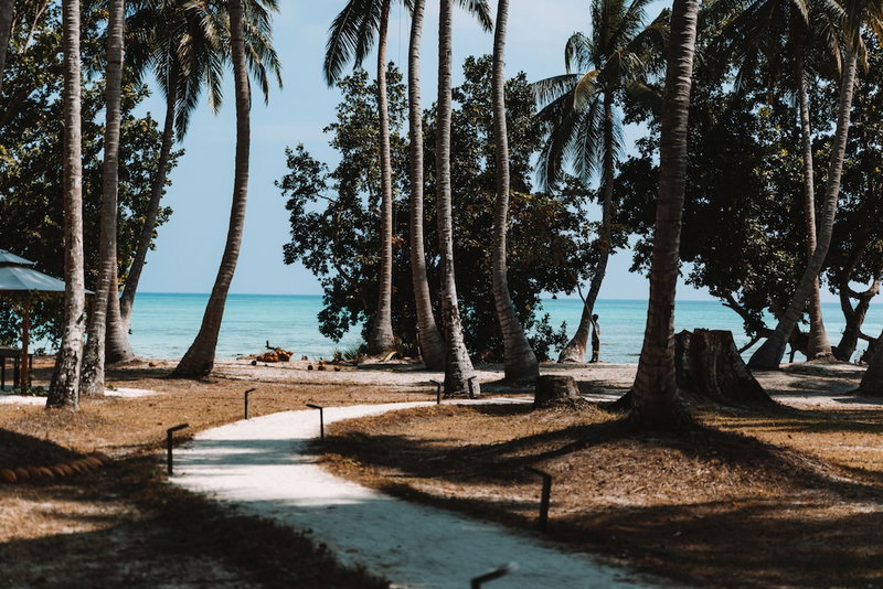 Tilar Siro Andamans - CGH Earth, Port Blair, India