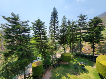 Hotel Royal Ark - Kasauli, Kasauli, India