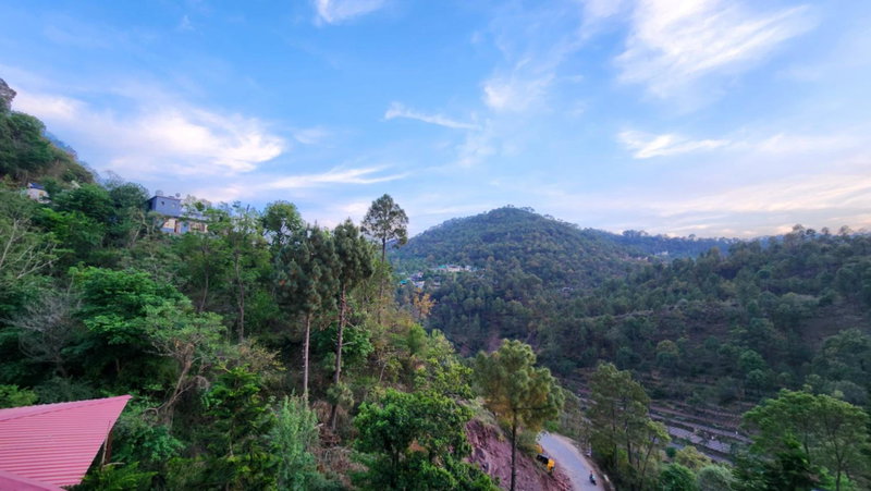 Hotel Royal Ark - Kasauli, Kasauli, India