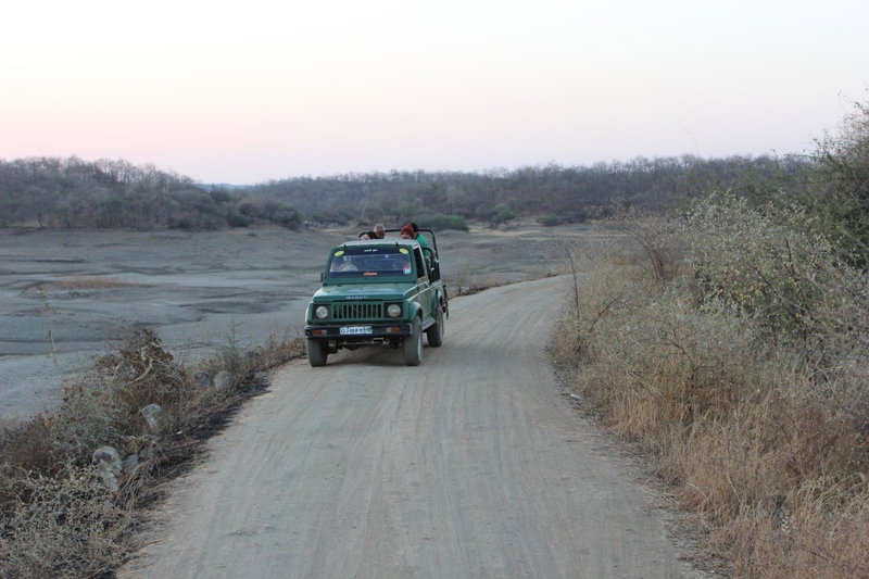 Gir Jungle Lodge, Sasan Gir, India