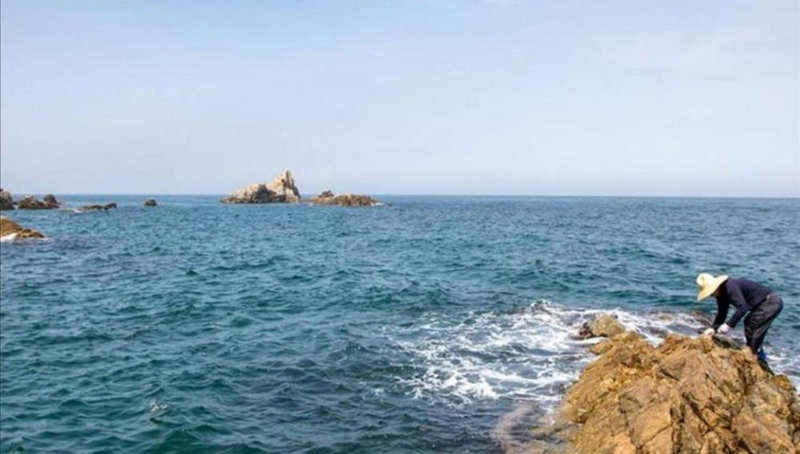 Samcheok Donghae Raeyo Pension, Samcheok, South Korea