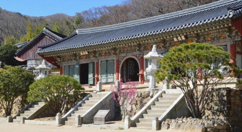 Denbasta Forest hotel, Busan, South Korea