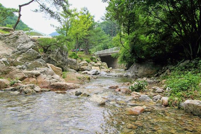 Yangpyeong Sanneomeo Pension, Yangpyeong, South Korea