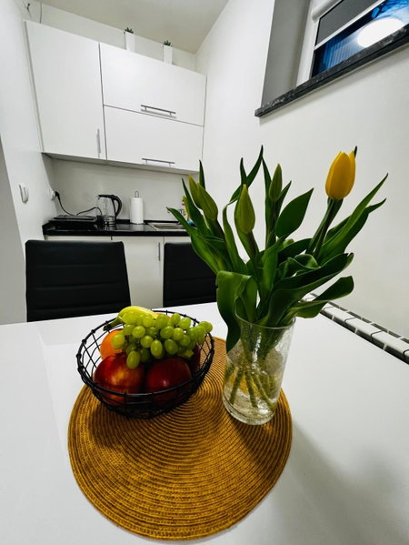 Apartament PLAY, Pietrzykowice, Poland