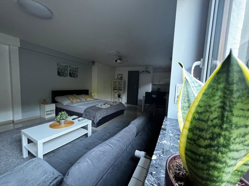 Apartament PLAY, Pietrzykowice, Poland