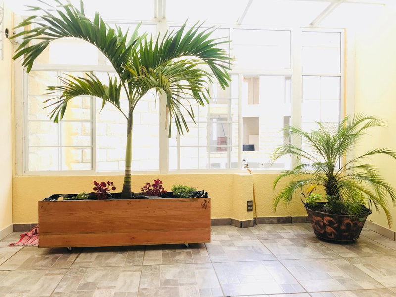 Hotel & Suites Cerro Roj0, Tlatlauquitepec, Mexico