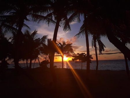 Cabañas Palmeras de Mahahual, Mahahual, Mexico