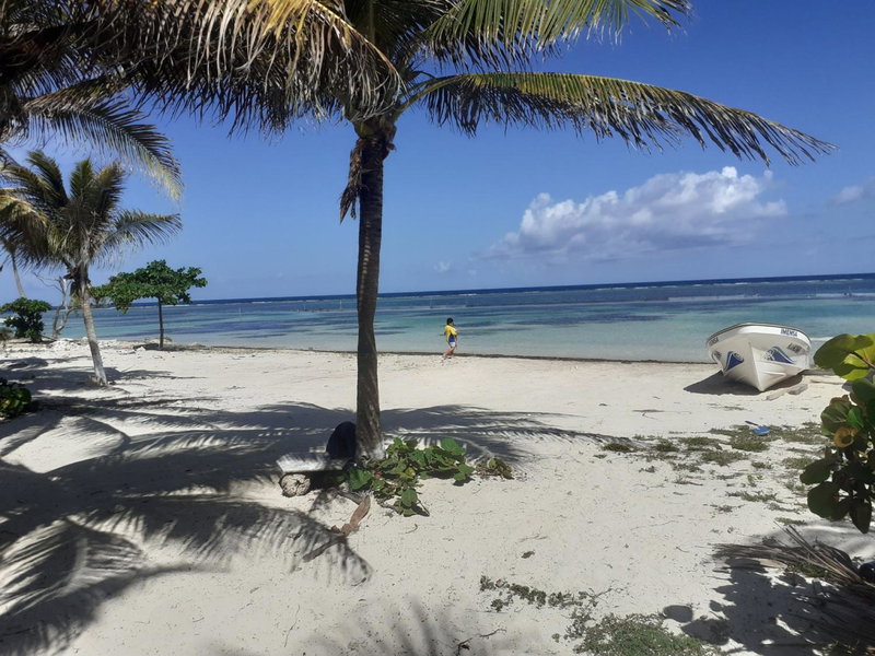 Cabañas Palmeras de Mahahual, Mahahual, Mexico