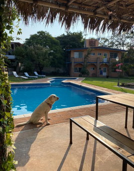 Villa Coiros ECOFRIENDLY suites & villas, Tonatico, Mexico