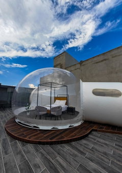 Hotel Wanderlive, Querétaro, Mexico