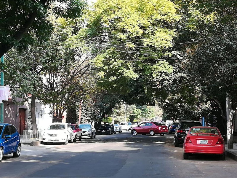 Calle Berlin Boutique, Mexico City, Mexico