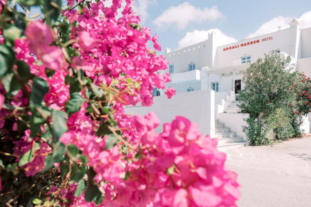 Korali Garden, Naxos Chora, Greece