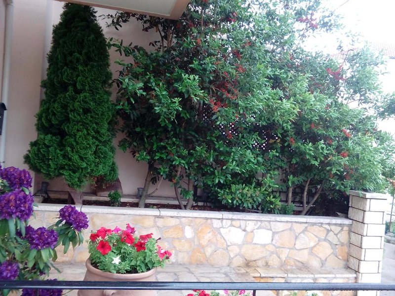 Chrysandra, Karpenision, Greece