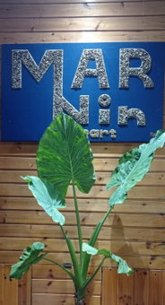 Marnin city Apart Hotel Rhodes, Rhodes Town, Greece