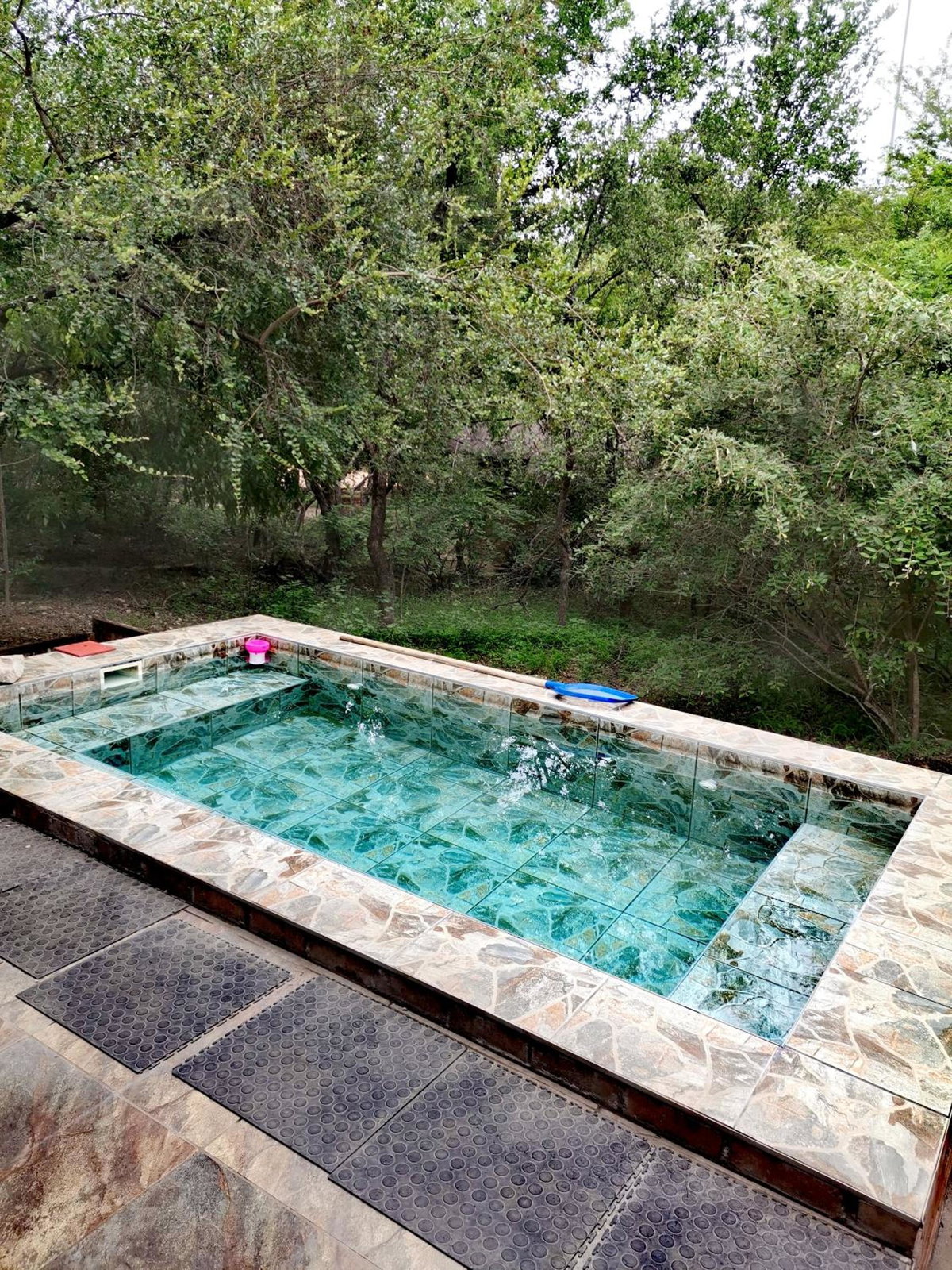 Hotel · Buffalo, Marloth Park