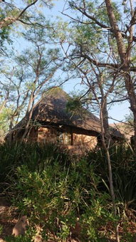 Cross Pollination Chalets & Camping, Vaalwater, South Africa