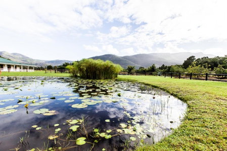 Valmont Estate, Plettenberg Bay, South Africa