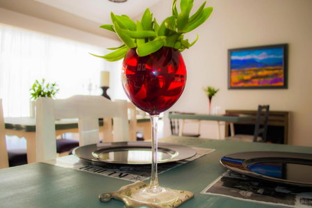 Oh So You Guesthouse, Kroonstad, South Africa