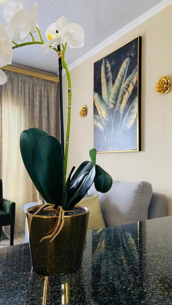Tshamani self catering, Hazyview, South Africa