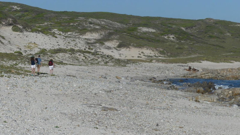 Oyster Catcher Stay And Explore, Cape St Francis, South Africa