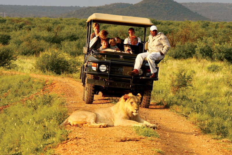 Madikwe Hills Private Game Lodge, Madikwe Game Reserve, South Africa