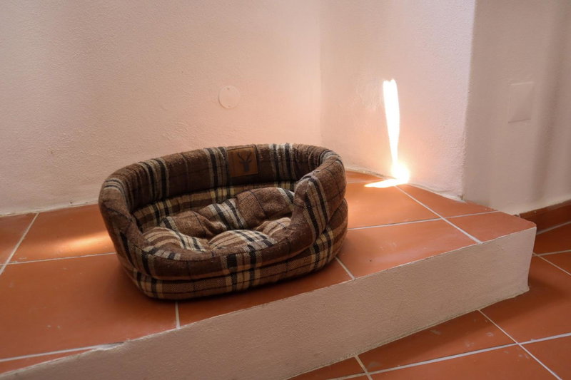 TI8-Travessa das Invernas 8, Évora, Portugal